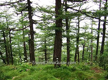 Taibai Mountain, Shaanxi